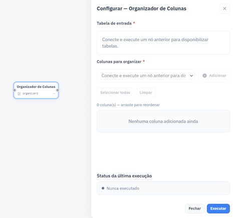 organizador2
